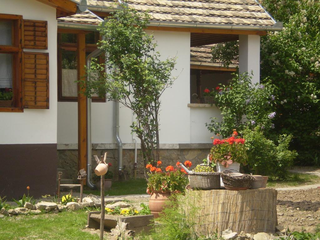 Apartament Tulipanos Vendeghaz Obanya Zewnętrze zdjęcie